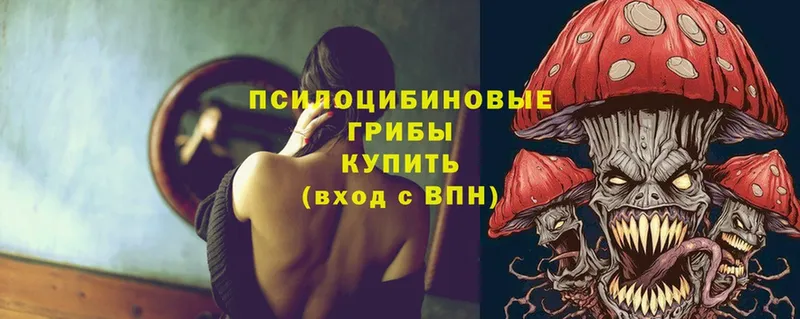 Галлюциногенные грибы Psilocybe  Серпухов 